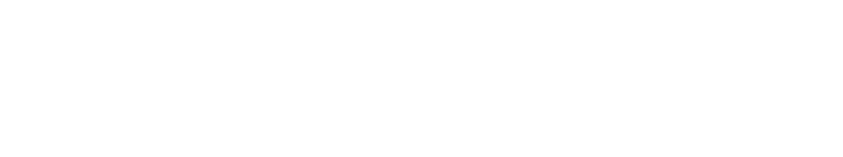 watermark